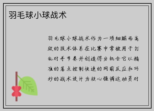 羽毛球小球战术
